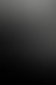 rencontre avec Bruce