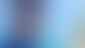 Wayne rencontre avec Wayne