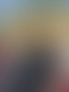 rencontre avec Devin