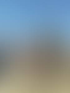 rencontre avec Lewis