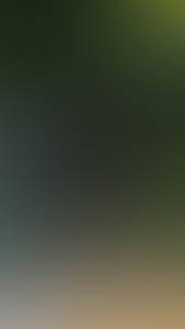 rencontre avec Jesus