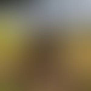 Emanuel rencontre avec Emanuel