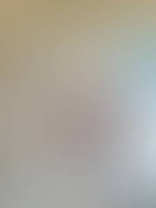 Leona rencontre avec Leona