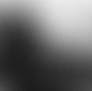 rencontre avec Allen