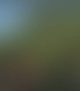 rencontre avec Brandon