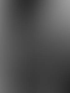 rencontre avec Sylvester