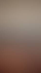 Levi rencontre avec Levi