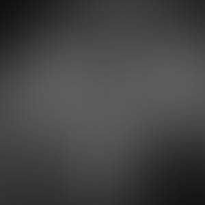 rencontre avec Travis