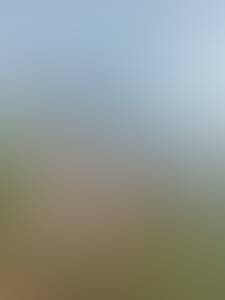 rencontre avec Mathew