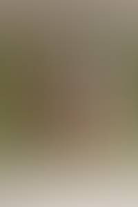 rencontre avec Morris