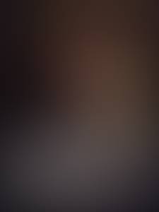 rencontre avec Steve