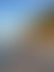 Nicolas rencontre avec Nicolas