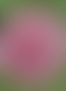 rencontre avec Hubert