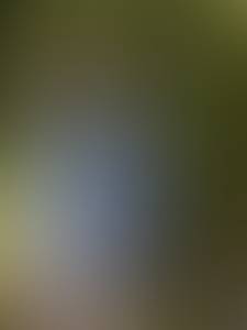 Femme célibataire 63 ans à Valence