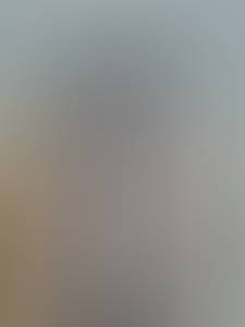 rencontre avec Forrest