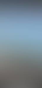 rencontre avec Salvador