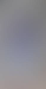 rencontre avec Ollie