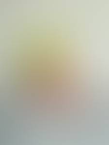 Ray rencontre avec Ray