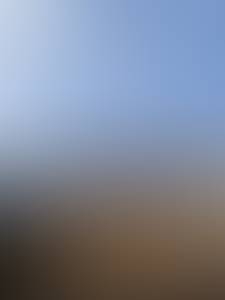 rencontre avec Tommy