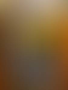 rencontre avec Woodrow