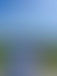 rencontre avec Micheal