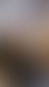 Preston rencontre avec Preston