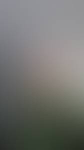 Femme célibataire 55 ans à Annecy