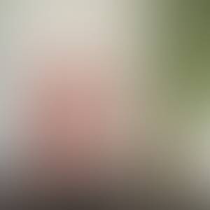 Guadalupe rencontre avec Guadalupe