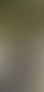 rencontre avec Lorenzo