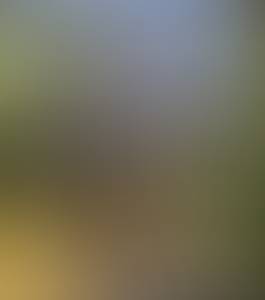 Femme célibataire 41 ans à Troyes