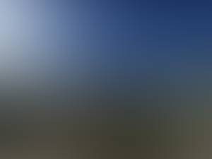 rencontre avec Marvin