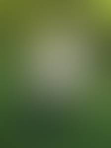 rencontre avec Daniel