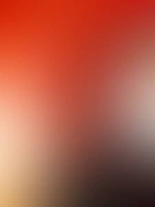 rencontre avec Carroll