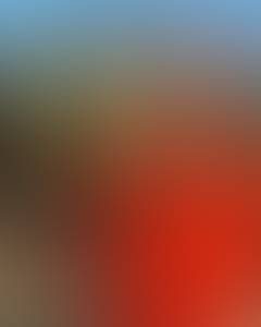 Violet rencontre avec Violet