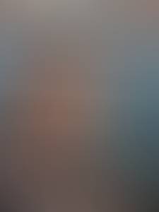 Femme célibataire 48 ans à Villeurbanne