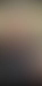 rencontre avec Wilfred