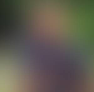 Harvey rencontre avec Harvey