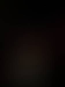 rencontre avec Dorothy