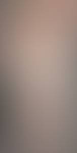 Ross rencontre avec Ross