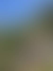 Photo de Lebienheureux