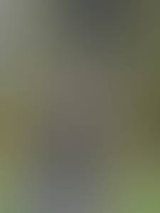 rencontre avec Freda