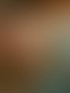 rencontre avec Sonja