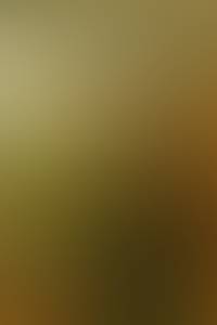 Shane rencontre avec Shane