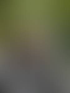 Neil rencontre avec Neil