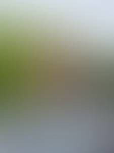 Photo du profil Preston, 52 ans à Bures-sur-Dives