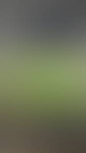 rencontre avec Jorge