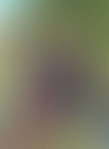 Hattie rencontre avec Hattie