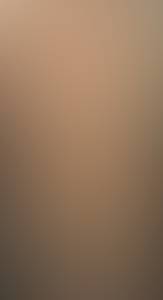 rencontre avec Roosevelt