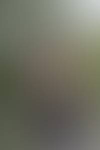 rencontre avec Bradley