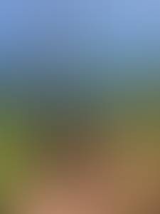 rencontre avec Lionel